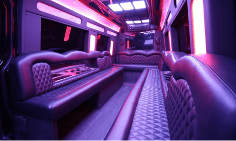 Johns Creek 14 Passenger Sprinter Bus Interior