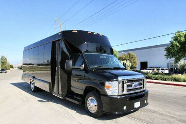 Albany 15 Passenger Party Bus