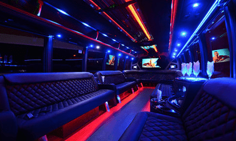 Albany 30 Passenger Party Bus Black Interior