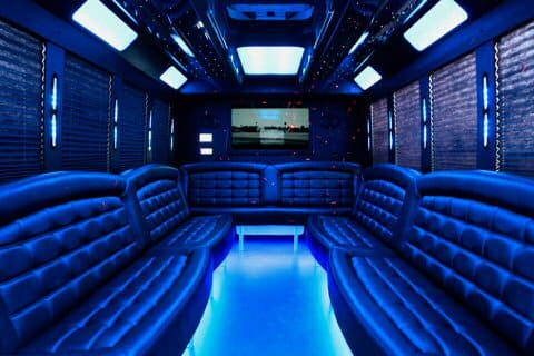 Albany 36 Passenger Party Bus Interior